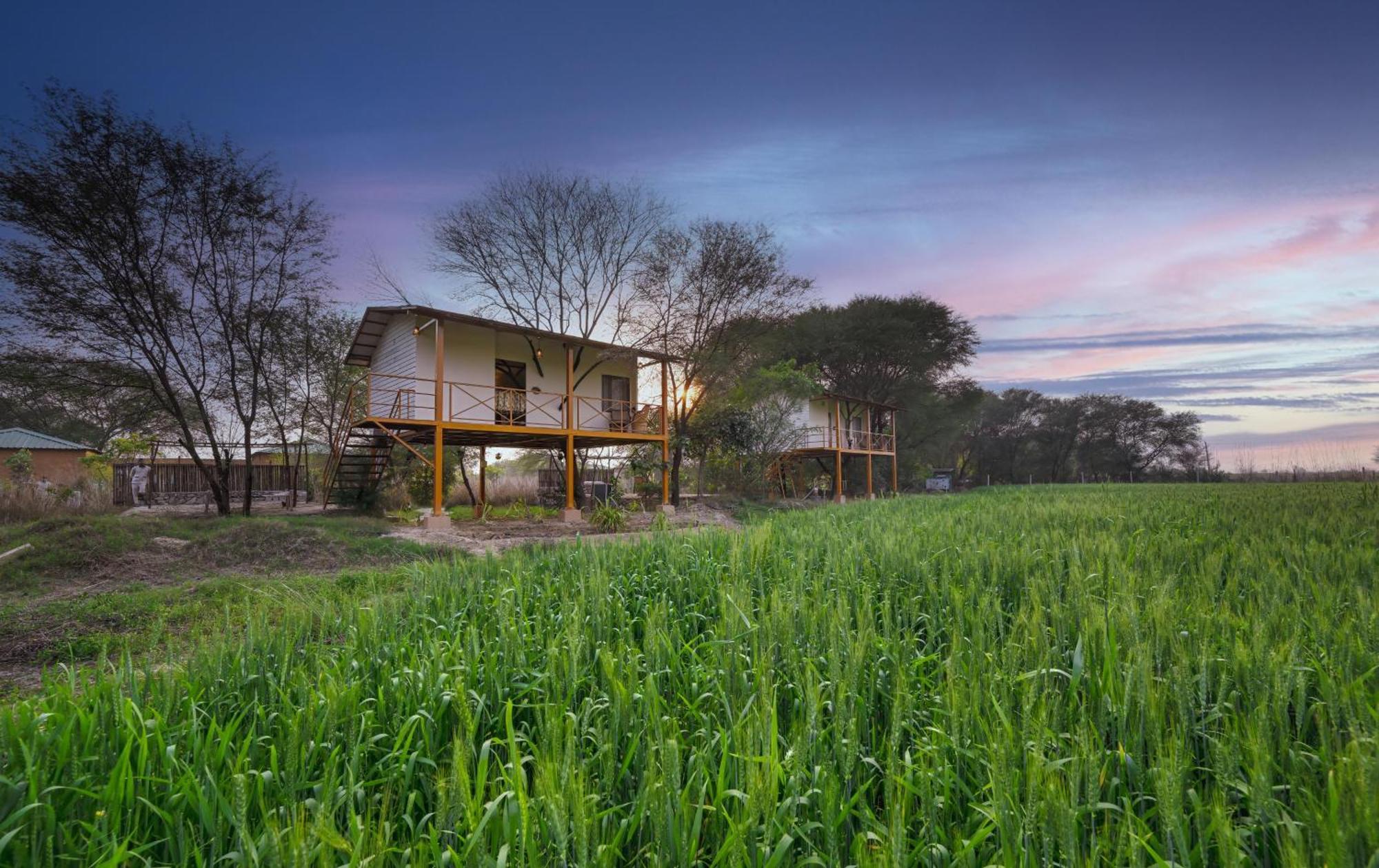 Bagh Serai - Rustic Cottage With Private Pool ساواي مادهوبور المظهر الخارجي الصورة